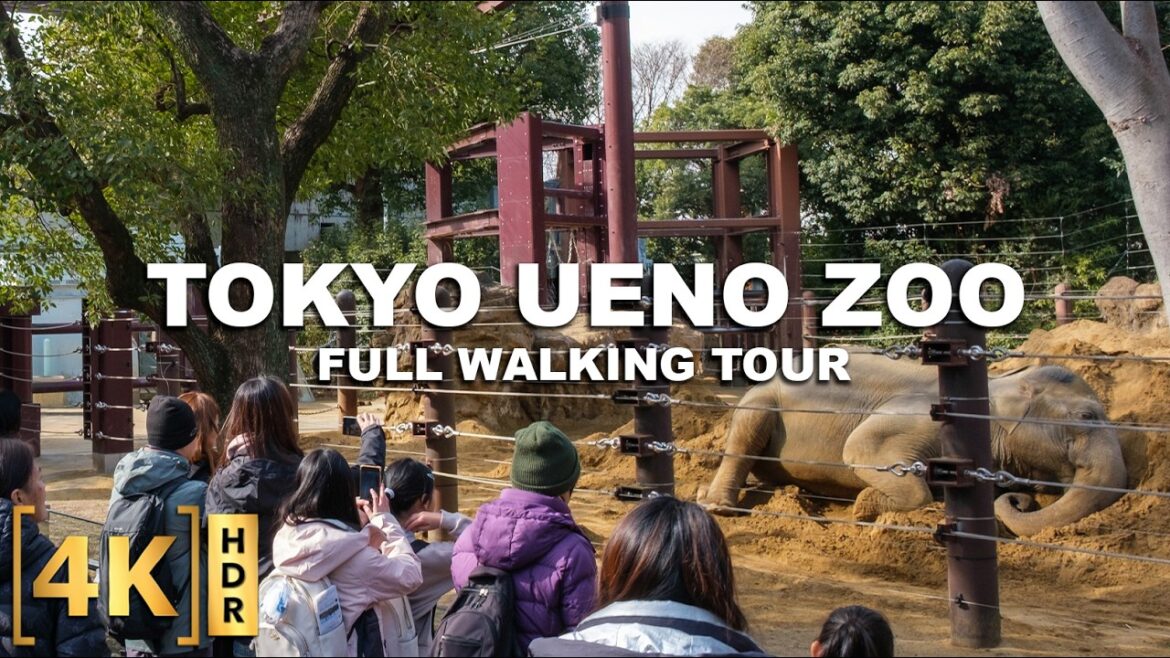 This is Japan's OLDEST Zoo and a Must-Visit in Tokyo! | UENO ZOO, Since 1882! | Full Walking Tour
