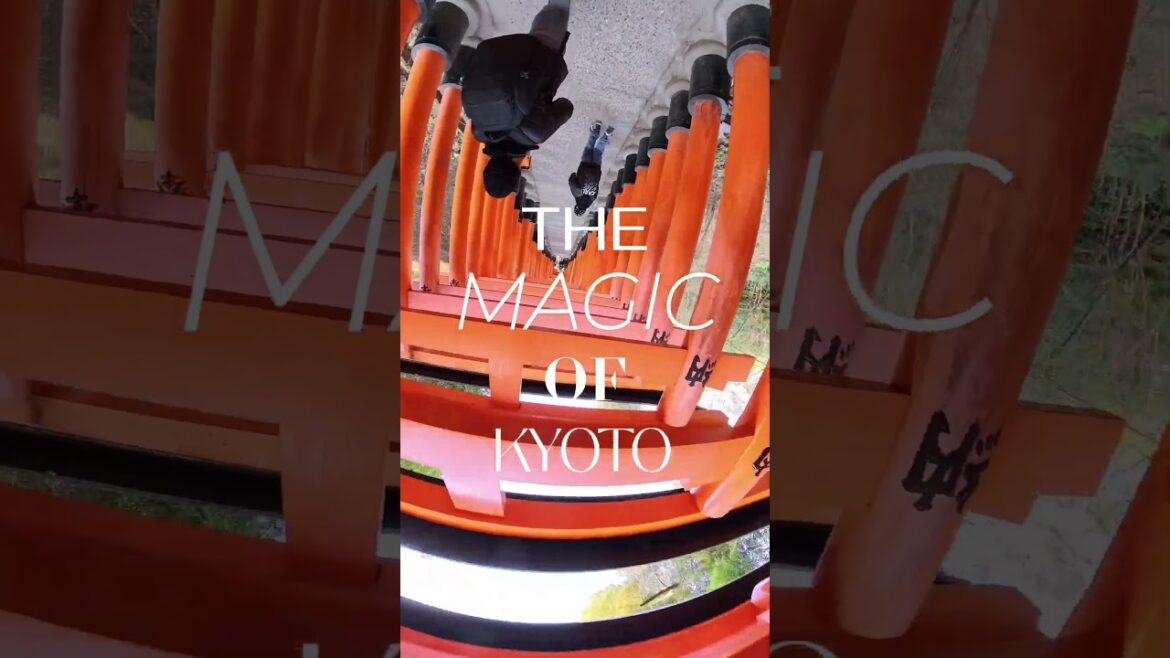 Walking Through 10,000 Torii Gates ⛩️ Fushimi Inari Kyoto | Japan with Kids | Full Kyoto Guide 👇
