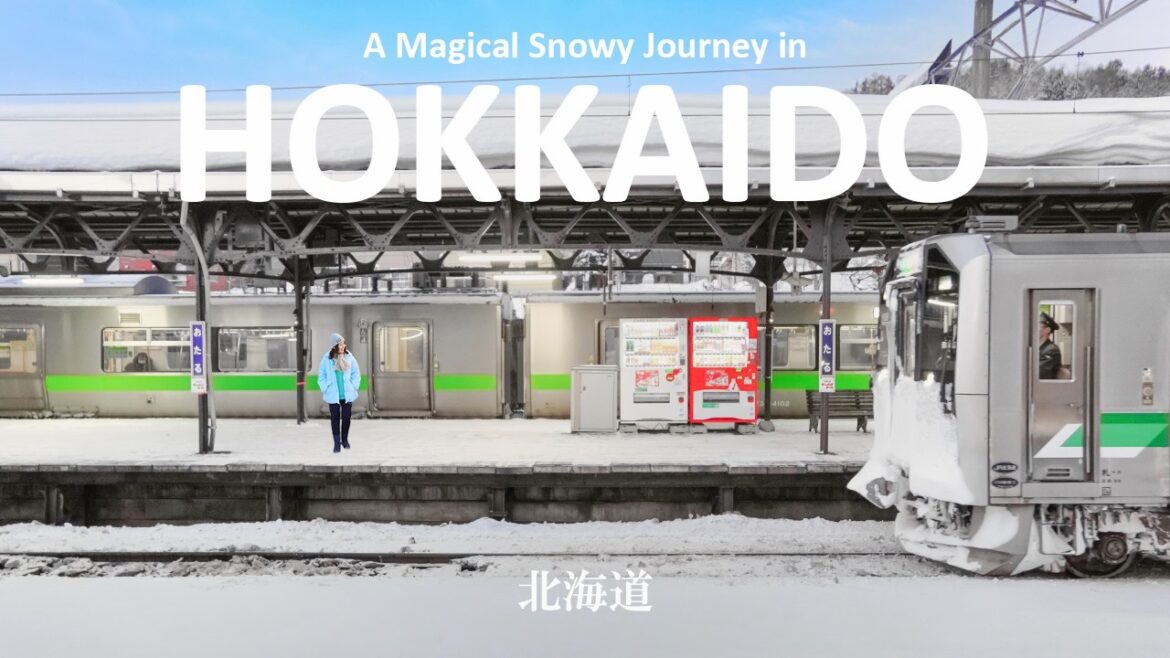 A Dreamy Winter Train Trip in Hokkaido | Otaru, Sapporo & Lake Shikotsu Ice Festival | JAPAN VLOG
