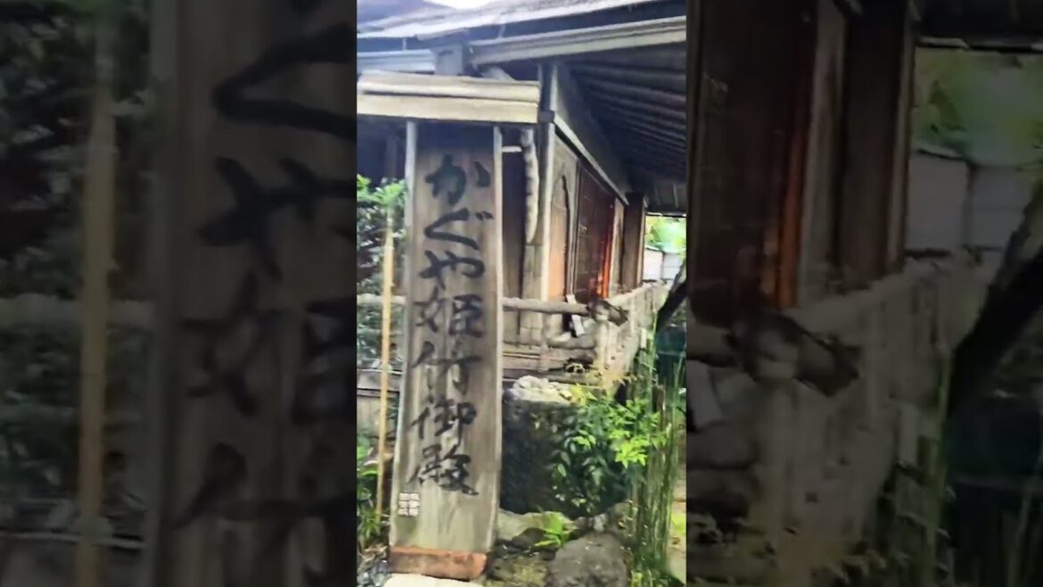 【KYOTO】Must-Eat Nice/Attractive Cafe - Bamboo Cafe