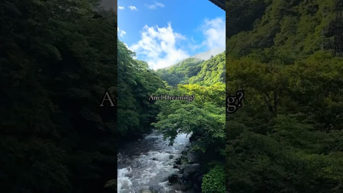 Amazing stay in a traditional #japanese  #ryokan in #hakone