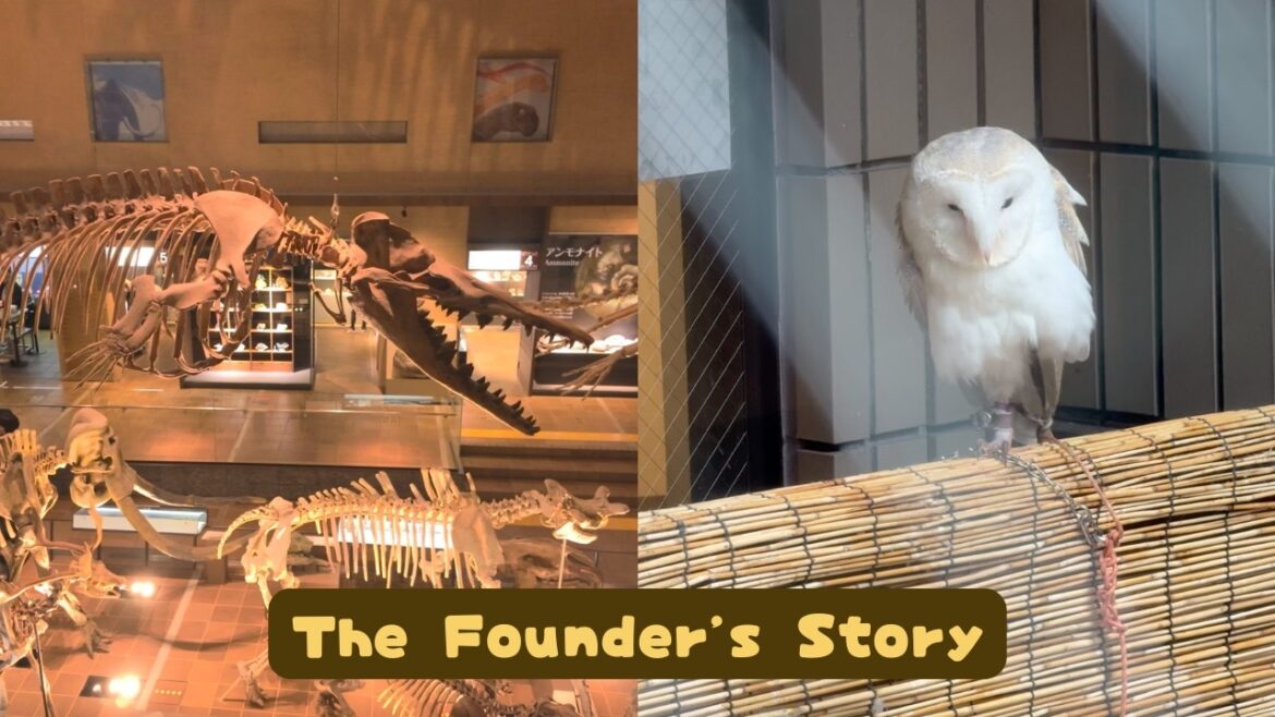 Meeting a Legend: Giant Dinosaurs, Snowy Owls & A Fairytale Cafe | Kitakyushu Road Trip