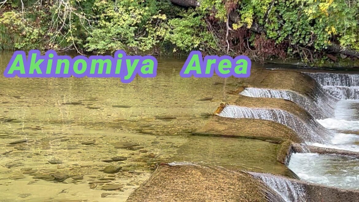 【AKITA】AKINOMIYA AREA 2025/10/19