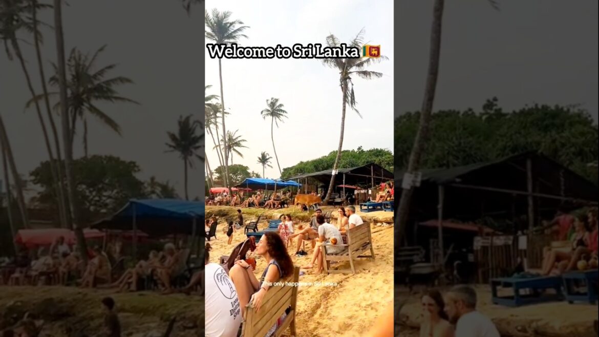 Welcome to Sri Lanka 🇱🇰