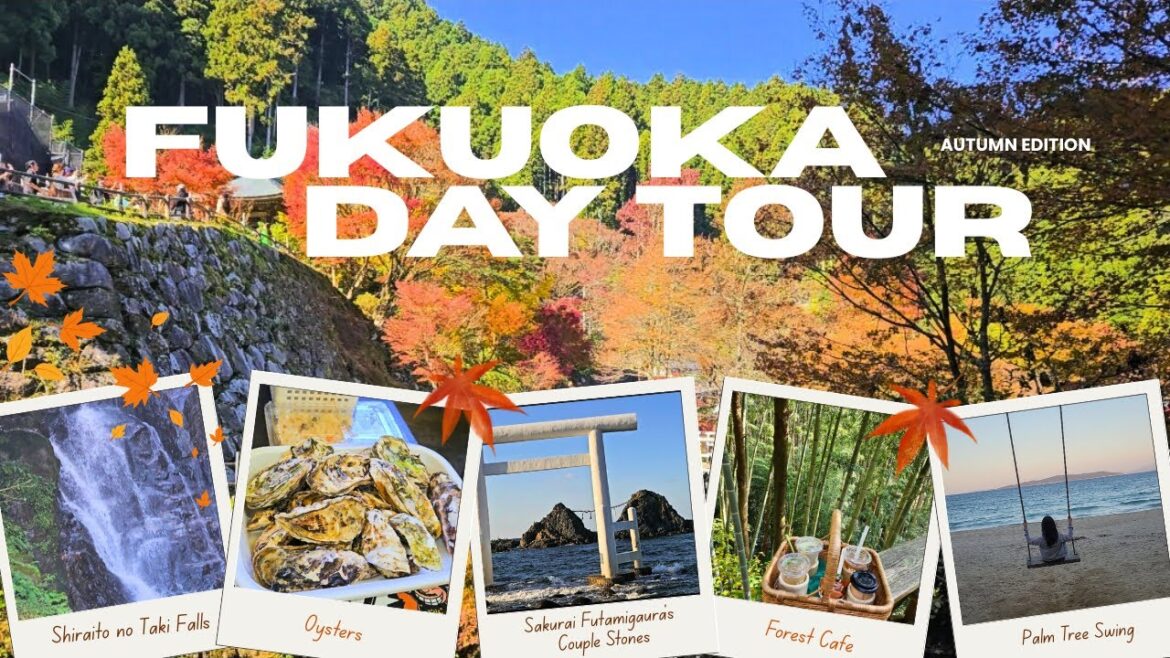 🚌 Fukuoka Day Trip Tour | Exploring Itoshima 🌊