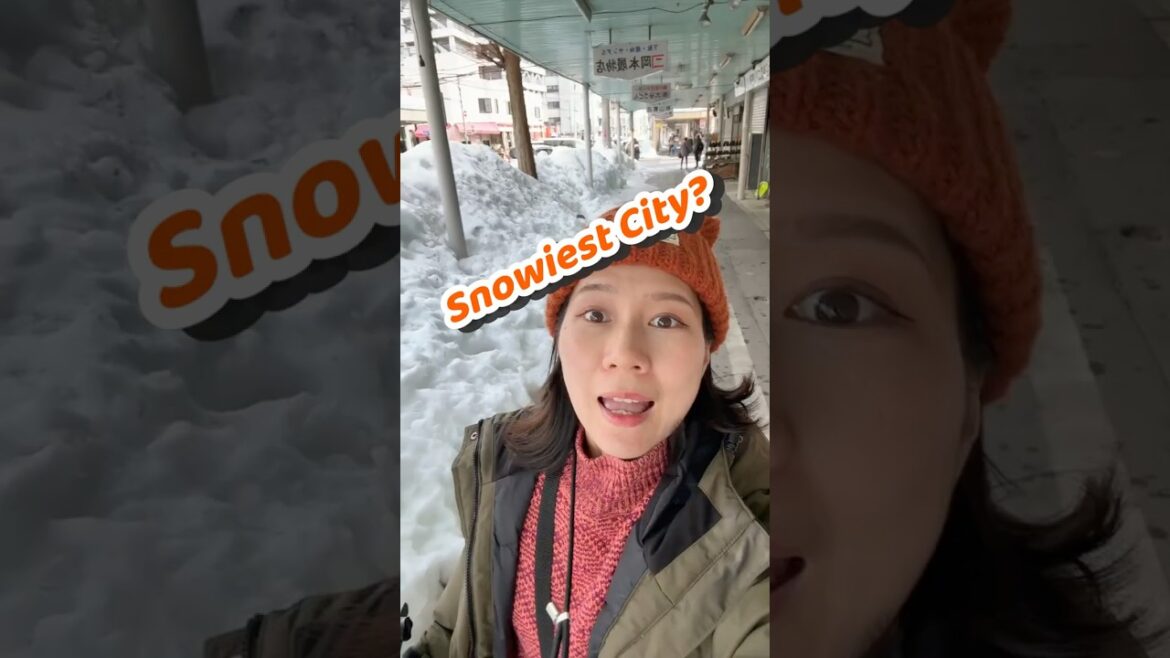 The Snowiest City in the World☃️ Aomori, Japan🇯🇵 The Snowiest City in the World☃️ Aomori, Japan🇯🇵