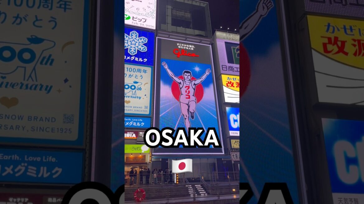 Dotonbori After Dark | Osaka Night Vibes 🎏 道頓堀ナイトウォーク｜大阪の夜