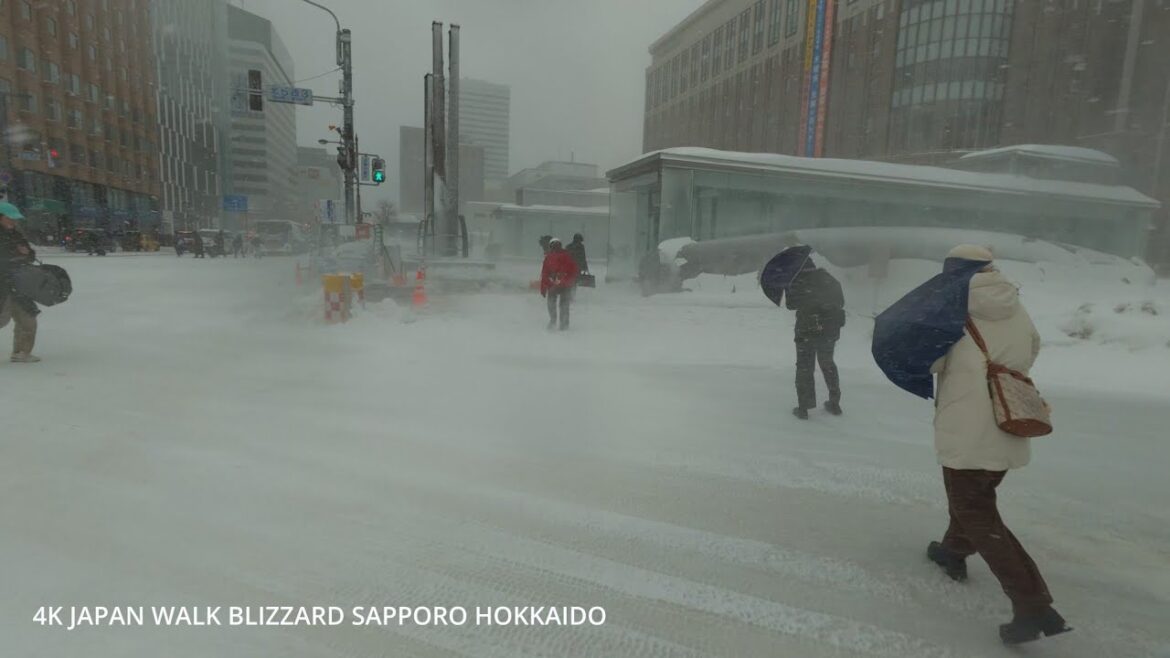 4K Japan Walk Blizzard hit Major city morning Sapporo Hokkaido(world-famous tourist city)吹雪の札幌の朝を歩く 4K Japan Walk Blizzard hit Major city morning Sapporo Hokkaido(world-famous tourist city)吹雪の札幌の朝を歩く