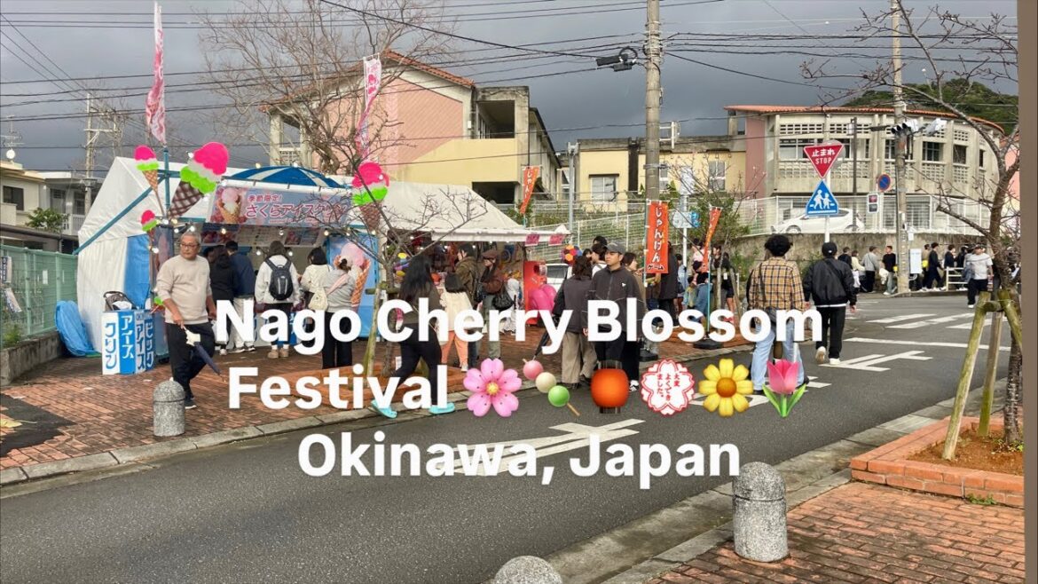 Nago Cherry Blossom Festival 2026 | Food Paradise & Sakura in Okinawa Nago Cherry Blossom Festival 2026 | Food Paradise & Sakura in Okinawa