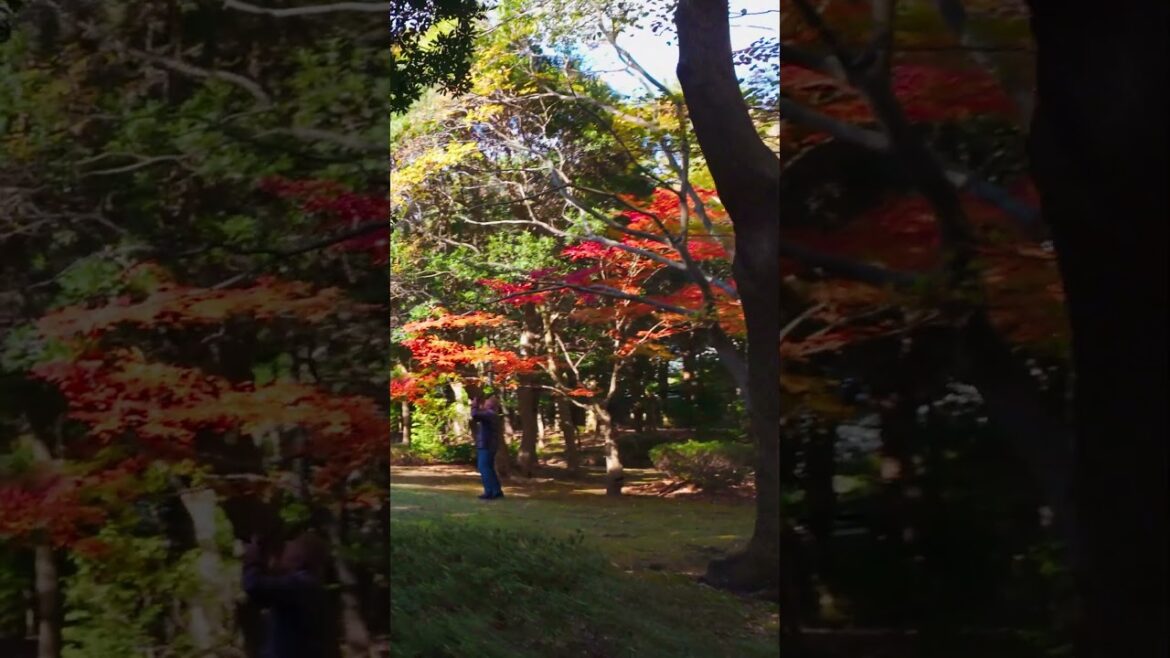 Makuhari, Chiba 🌆 Quiet Streets & Gardens Just 45 min from Tokyo