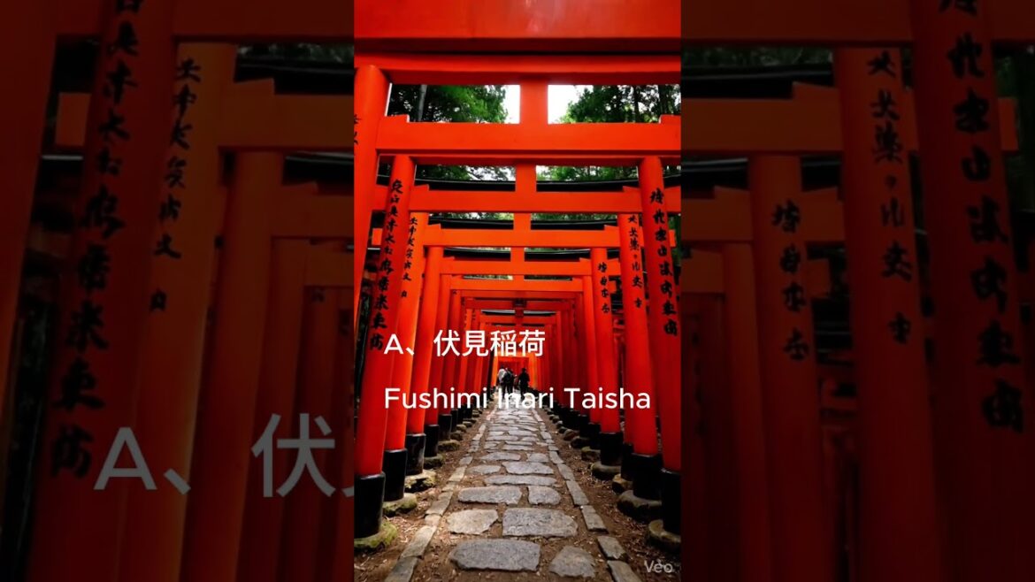 Kyoto Japan 🇯🇵 4 Places That Feel Unreal(京都絶景4選)#京都#Kyoto#JapanTravel#京都旅行 Kyoto Japan 🇯🇵 4 Places That Feel Unreal(京都絶景4選)#京都#Kyoto#JapanTravel#京都旅行