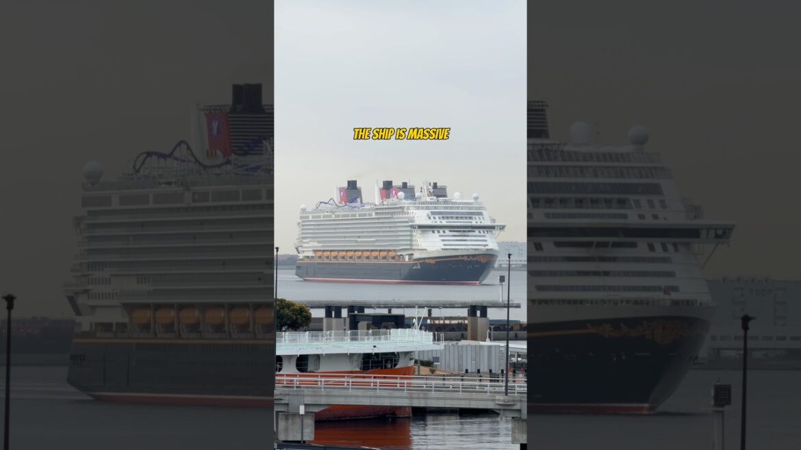 Disney’s LARGEST Cruise Ship Lands in Tokyo, Japan Disney’s LARGEST Cruise Ship Lands in Tokyo, Japan