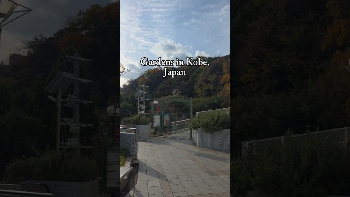 Kobe isn't just known for its meat #japan