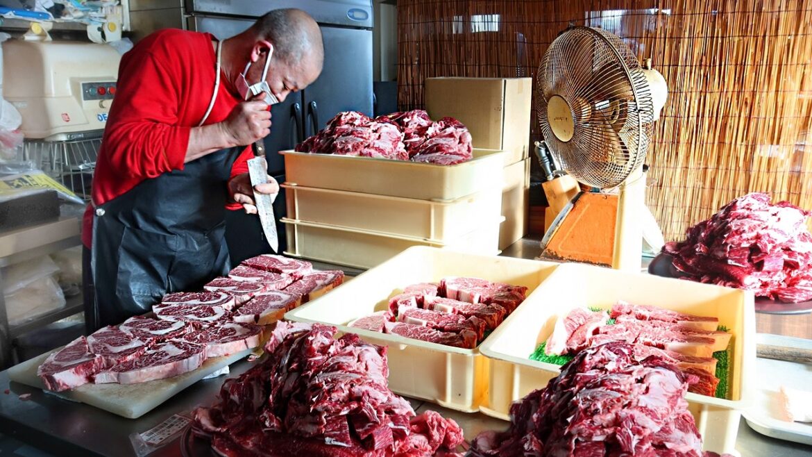 The HARDEST working Steak Chef in Japan! 15 HOUR solo grind!