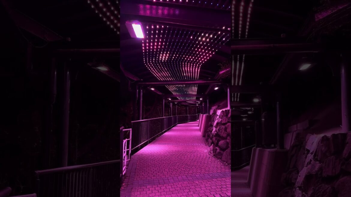 Inasayama Park (2024-03-18, Nagasaki, Japan) [4K]