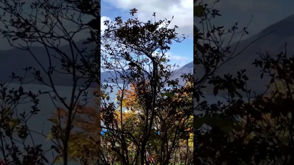 Lake Shikotsu (Hokkaido, Japan)