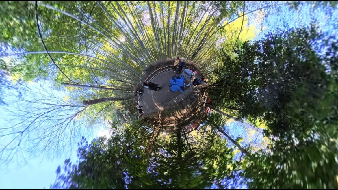 Arashiyama Bamboo Forest, Kyoto, Japan #insta360x5 #travel #japan #kyoto #bamboo #tourist