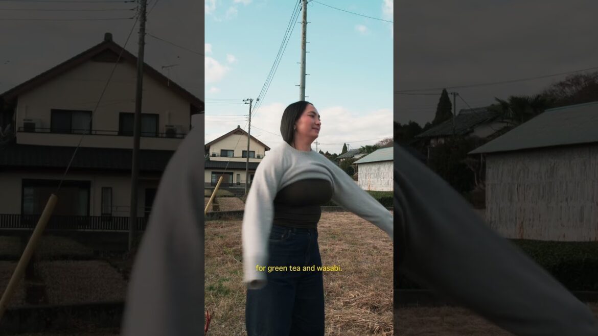 Our first road trip in Japan to Shizuoka 🚗