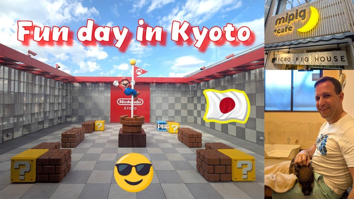 NINTENDO KYOTO + MINIPIG + CAFE KYOTO ( MICRO PIG HOUSE ) + WALKING TOUR ๐ฏ๐ต NINTENDO KYOTO + MINIPIG + CAFE KYOTO ( MICRO PIG HOUSE ) + WALKING TOUR ๐ฏ๐ต