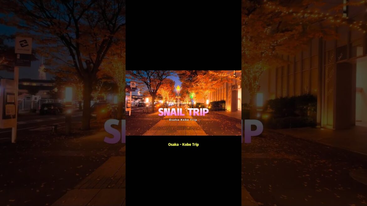 Teaser "Trip Osaka / Kobe" 2025 #travel #japan #osaka #kobe