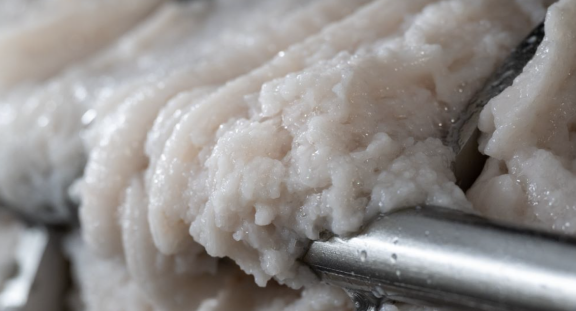 Russian pollock surge keeps Japan surimi imports flat as Hokkaido rebounds