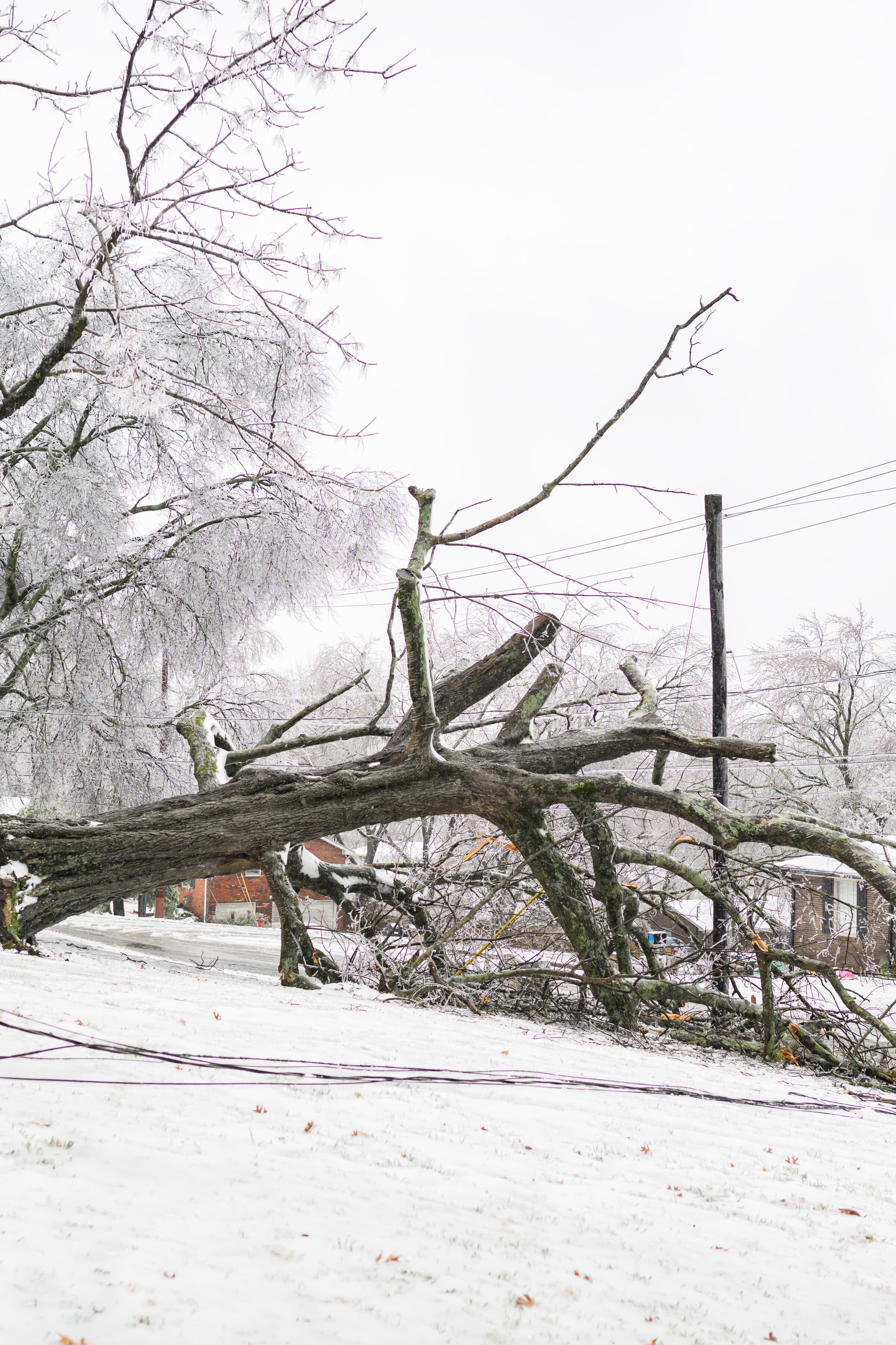 Southern Residents Struggle in Aftermath of Powerful Winter Storm