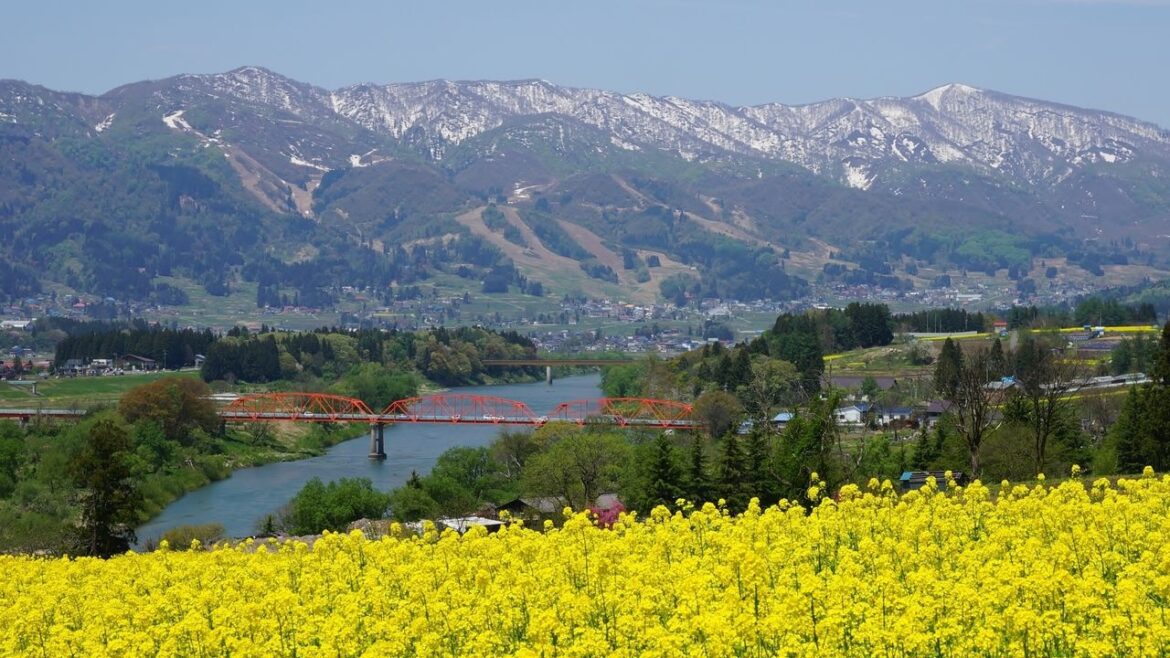 A Sense of Spring: Japan’s Top Flower Spots Ranked