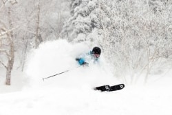 man skiing with turquoise jump suit and black beanie explodes through a cloud of snow in front of snow covered bare trees.