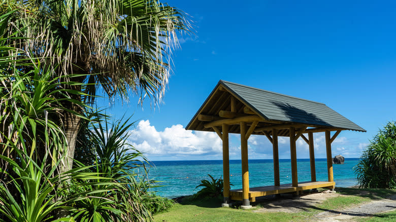 A small path and covered bench overlooking a turquoise sea in Amami Islands, Japan