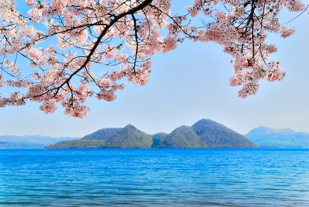 洞爺湖是北海道最美的湖泊，也是北海道櫻花景點之一