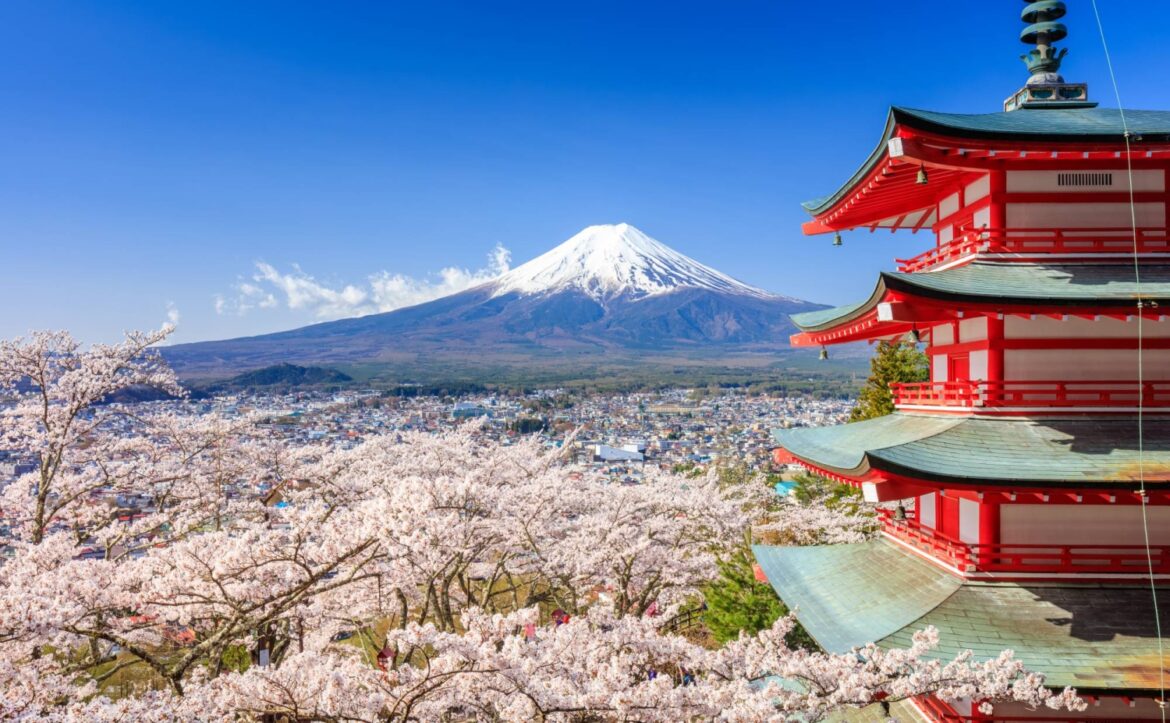 Mount Fuji cherry blossom festival canceled due to overtourism