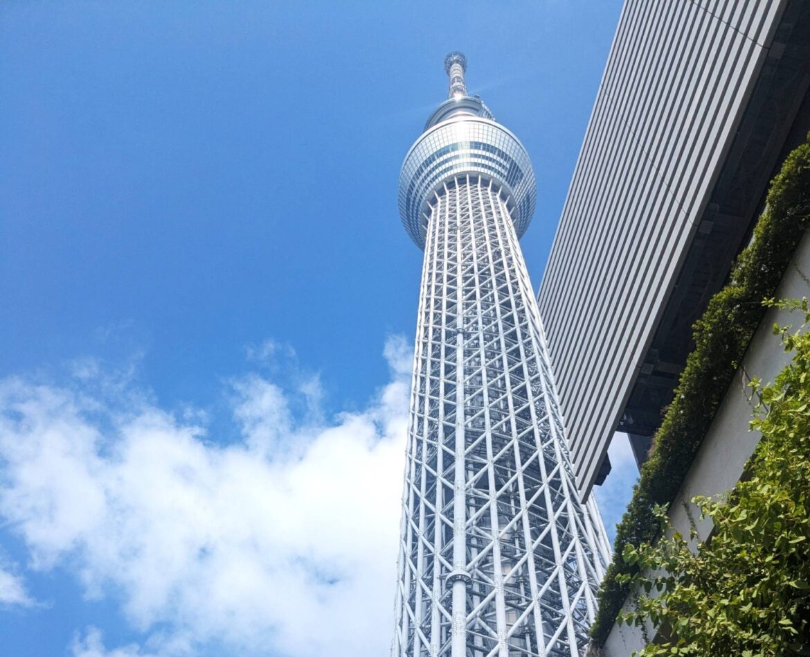 Damaged cable led to Tokyo Skytree elevator incident Damaged cable led to Tokyo Skytree elevator incident