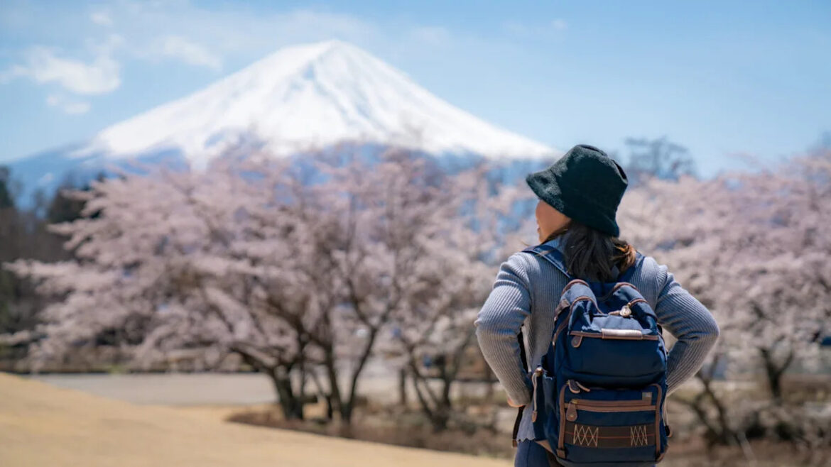 Japan Cancels Cherry Blossom Festival Amid Record Tourism Surge to Protect Local Life Yahoo lifestyle home
