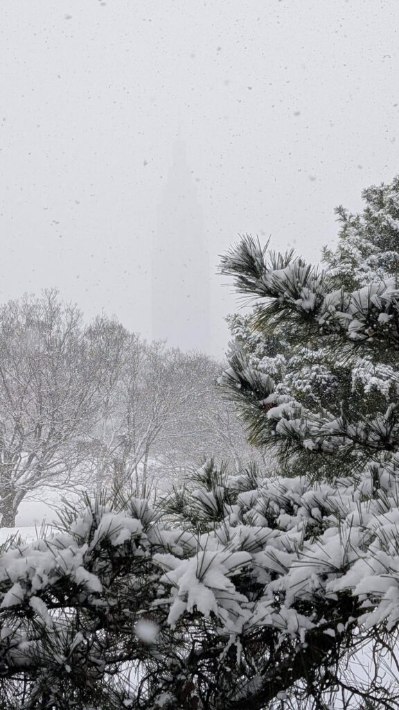 Shinjuku Docomo Tower in a snowstorm