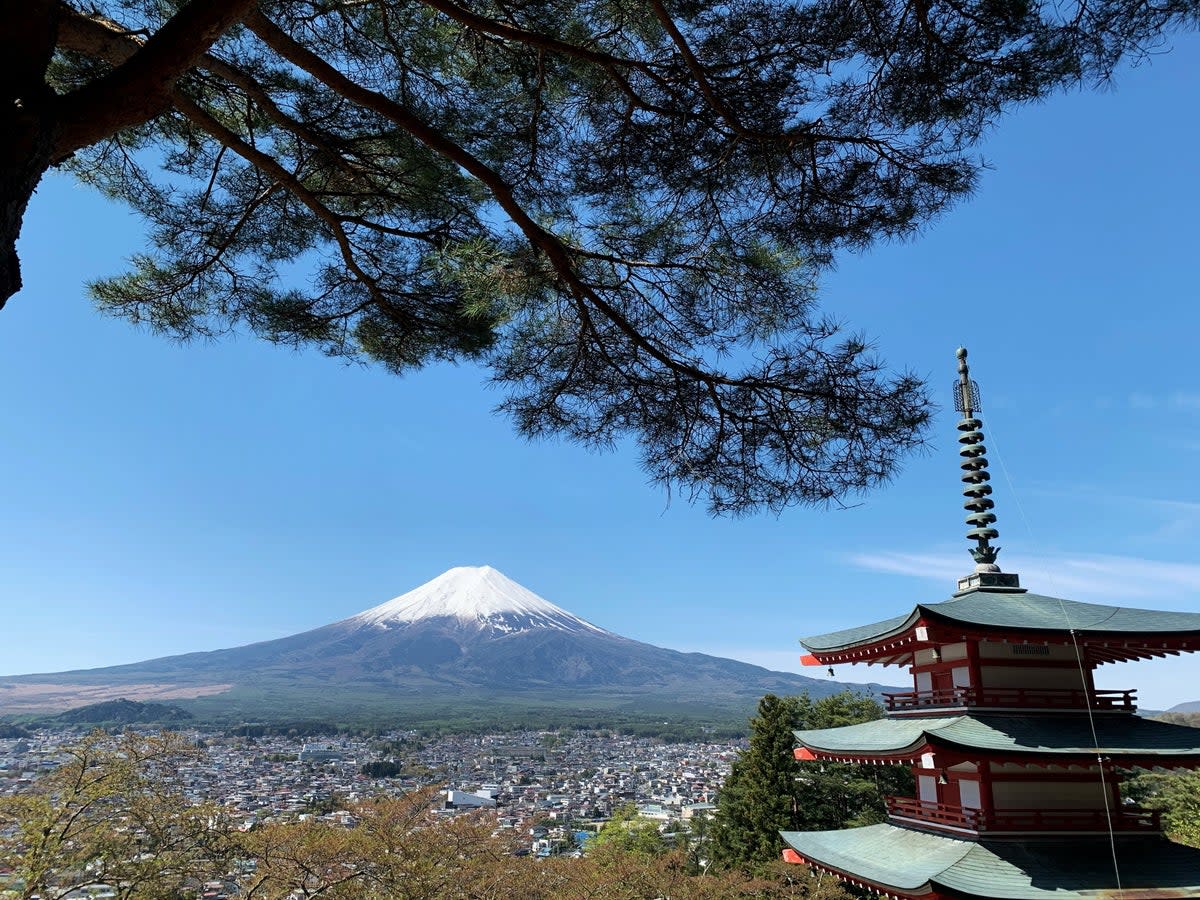 Mount Fuji is seen from the Arakura Fuji Sengen Shrine in Fujiyoshida city, Yamanashi prefecture, on 22 April 2021 (AFP via Getty)