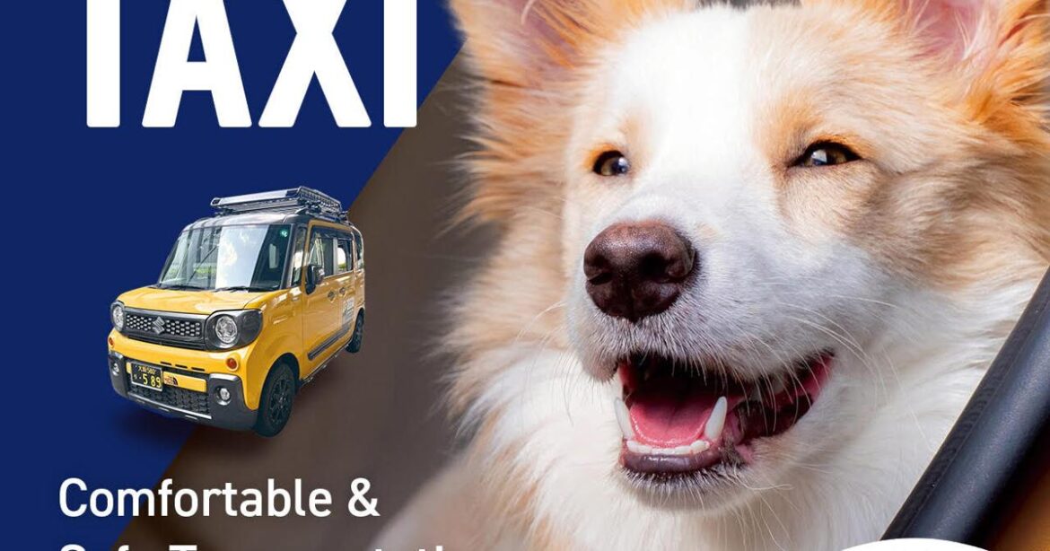 Animal Hospital Access and Pet-friendly Travel in Japan Streamlined by Comasuke’s One-Stop VIP Dog Support | Press Releases