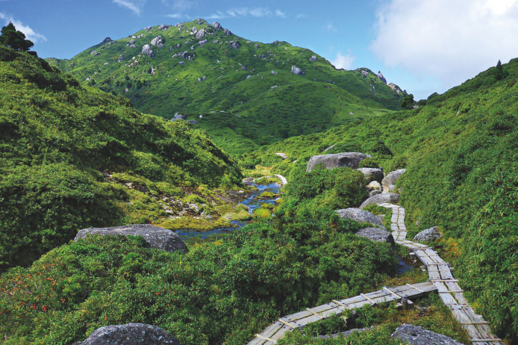 Yakushima
