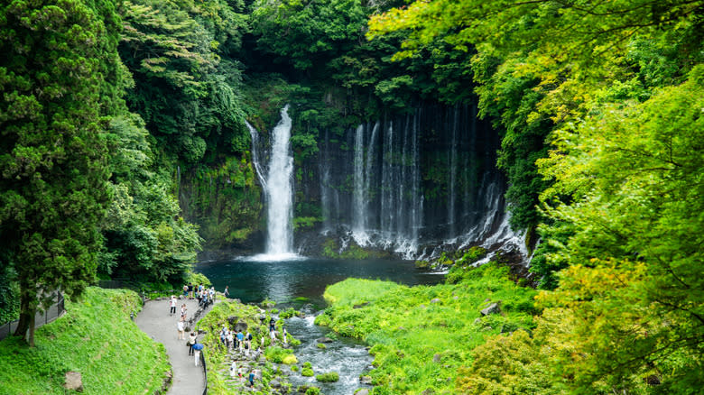 Lush greenery surrounding Karuizawa's Shiraito Falls