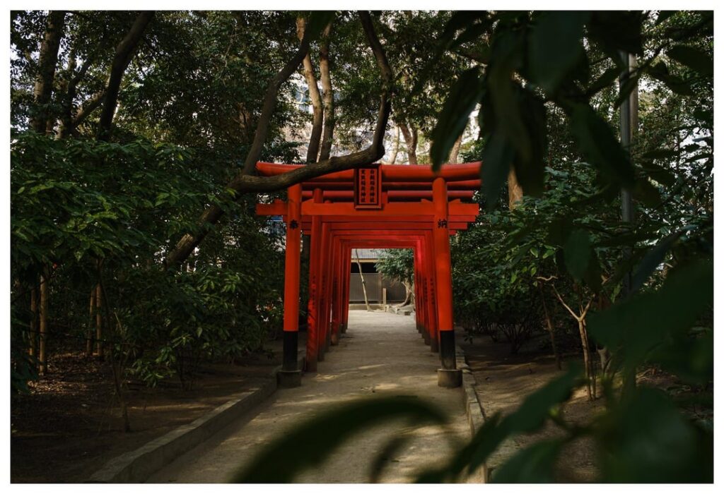 Fukuoka Shrines and Canal City