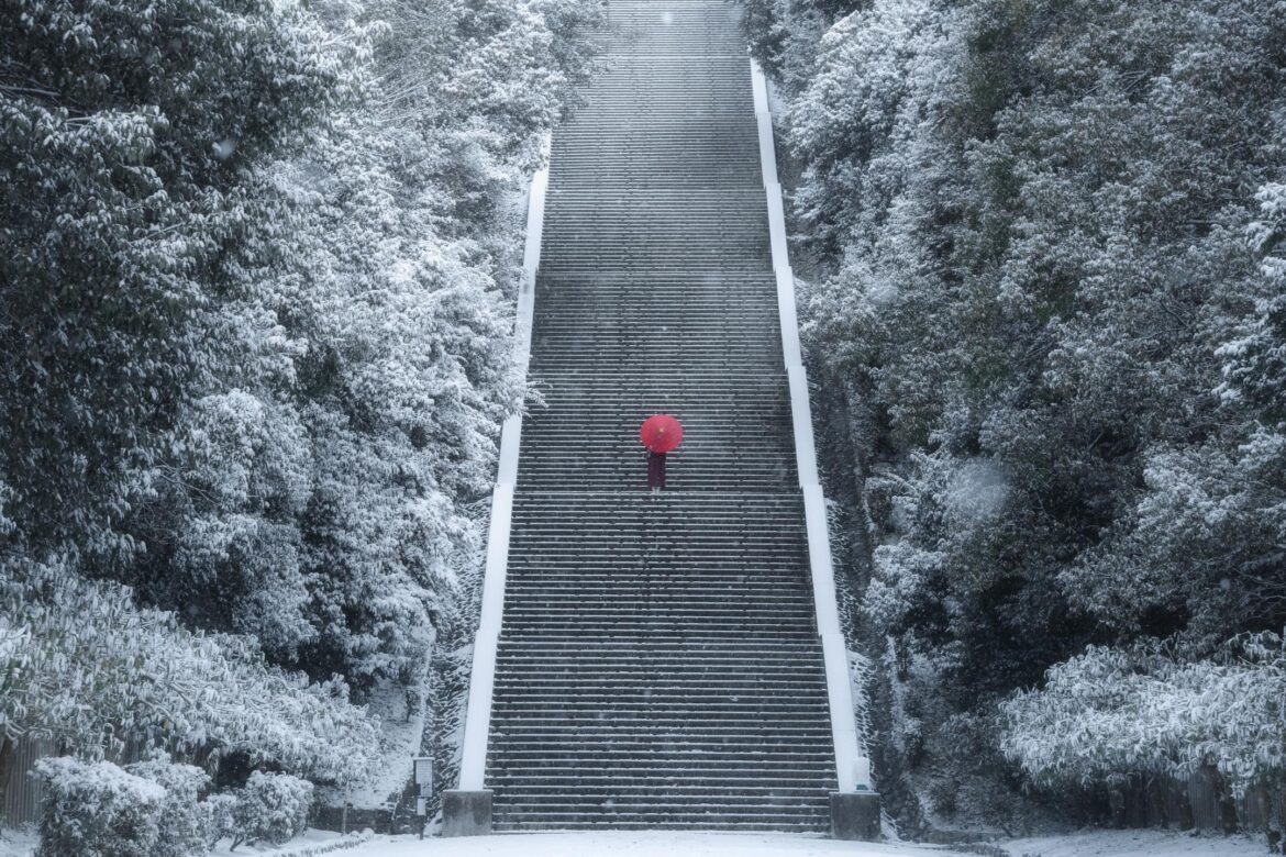 A whisper of red in winter’s silence