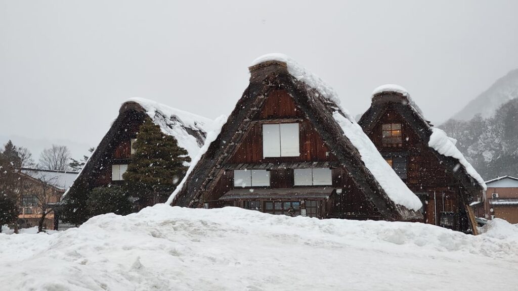 Shirakawago ⛄❄️