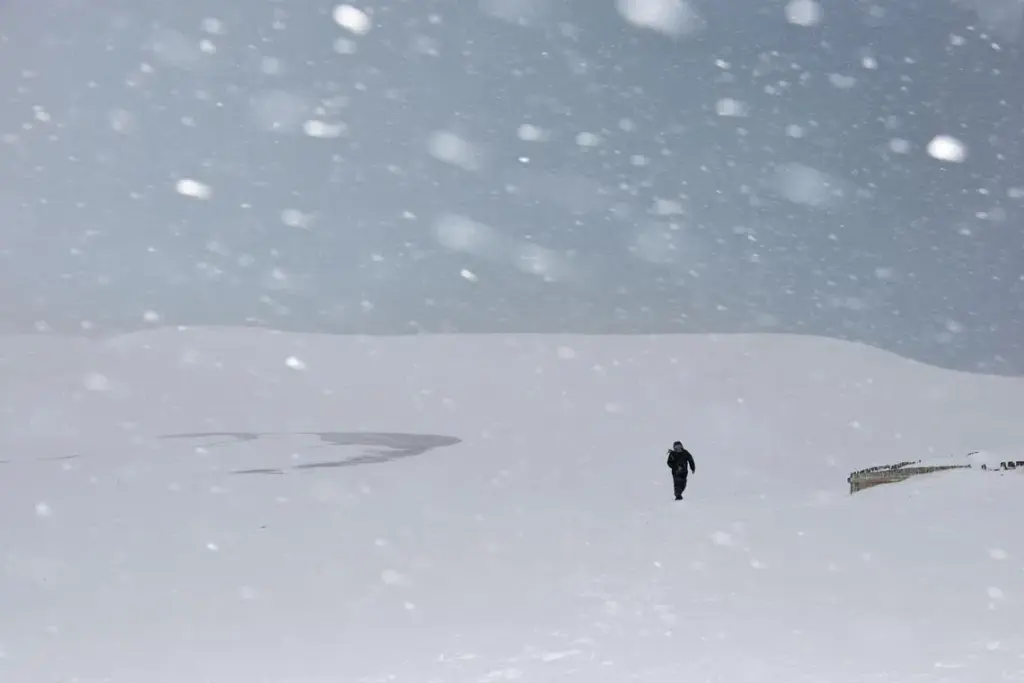 Subscribe Placeholder