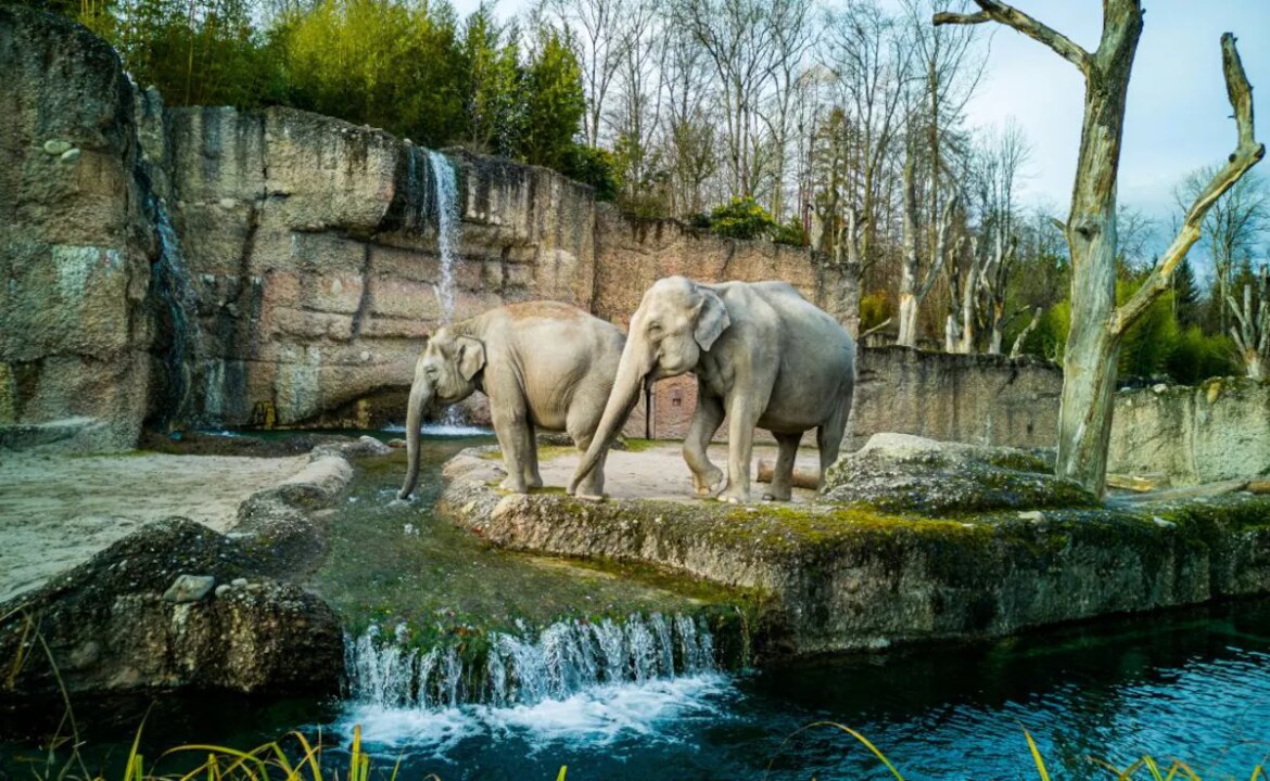 6 Places In Japan Every Animal Lover Should Visit