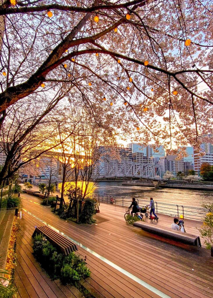Canalside Views, Tennozu Isle, Tokyo