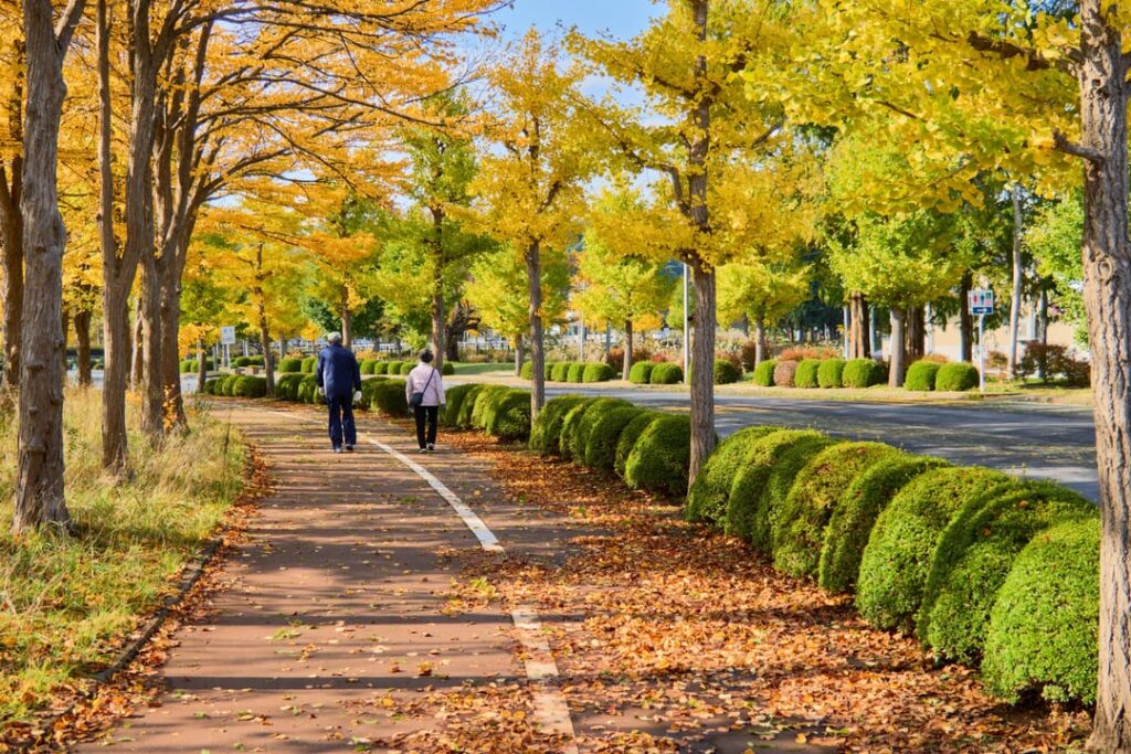 Aomori City (Part I)