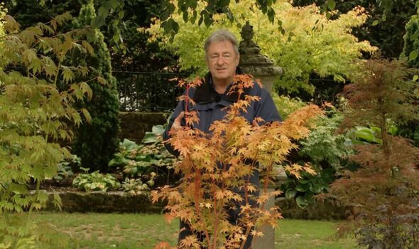 Alan Titchmarsh with Japanese maple trees
