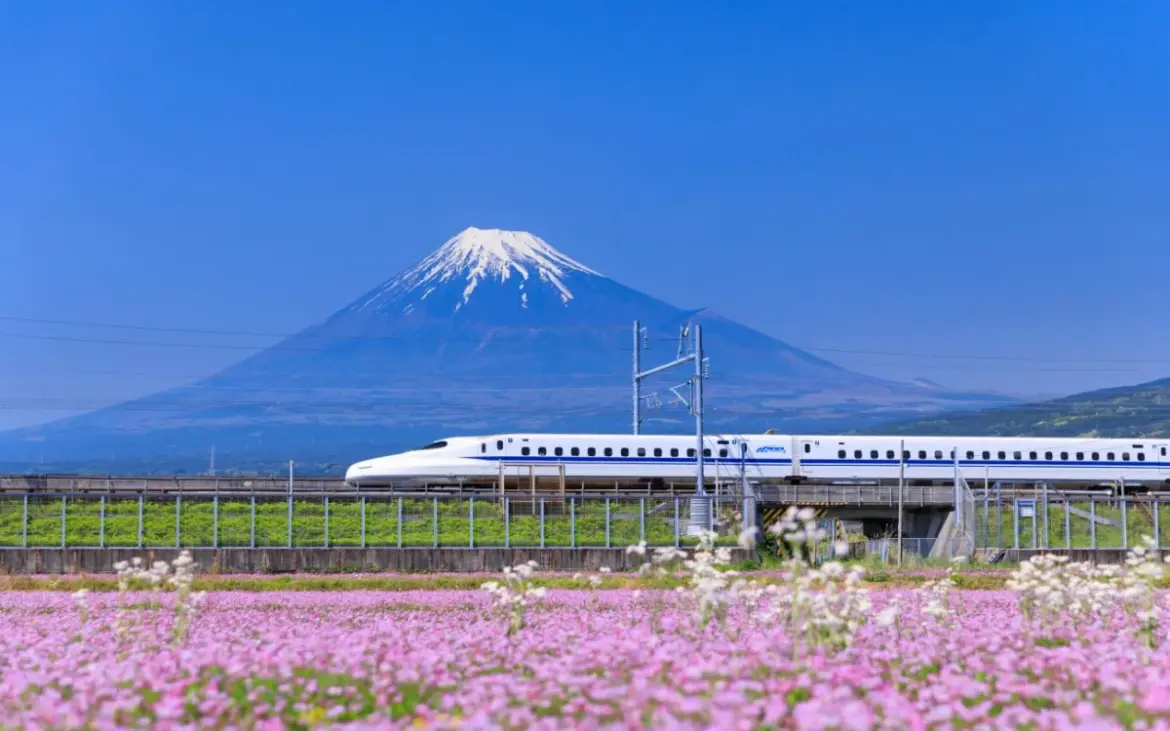 Japan’s bullet trains automatically stopped seconds before 2011 megaquake hit and there were no derailments Japan suffered an enormous megaquake in 2011 - yet not one of Japan