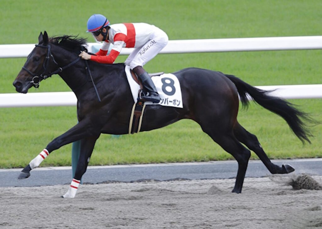 Maxfield Colt Makes 3YO Debut in Japan