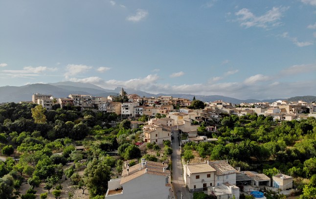 Aerial photo Campanet town