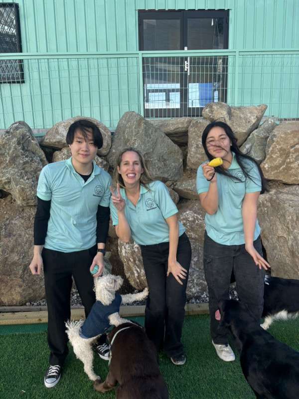 Dog Day Care in Tokyo: Wanchanland